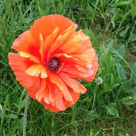 Gastehaus Sonnenstrand Monchgut Lobbe